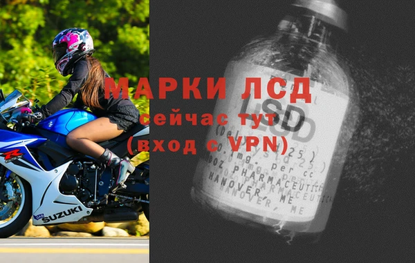 гашик Алексин