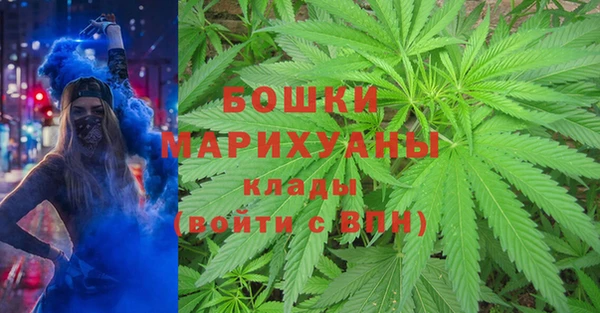 гидра Рославль