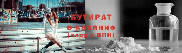 гашик Алексин
