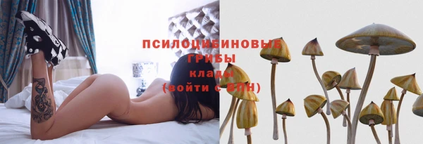 прущий лед Алексеевка