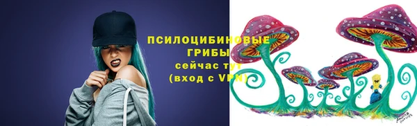 гашик Алексин