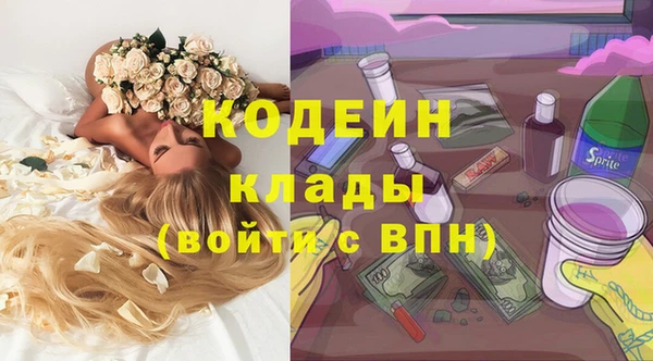 гашик Алексин