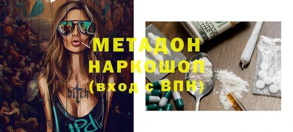 гашик Алексин
