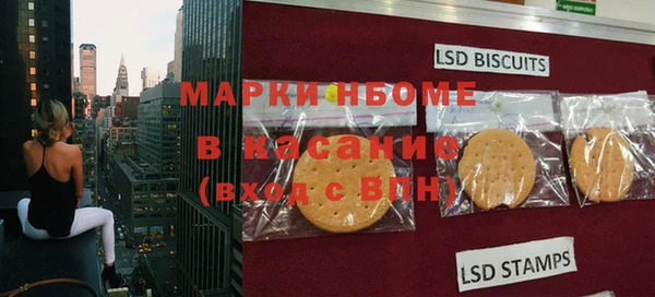 гашик Алексин