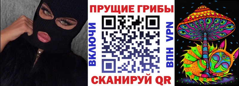 omg зеркало  Льгов  Галлюциногенные грибы Psilocybe 